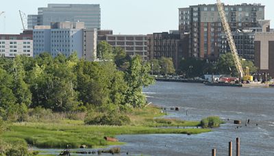 New Hanover County to explore ways to fund conservation of the west bank