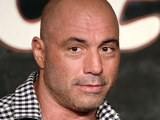 Joe Rogan to Perform a Live Comedy Special on Netflix: ‘Burn the Boats’