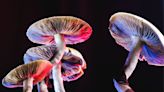 Do psychedelics reduce distress for palliative care patients? EU funds study to find out