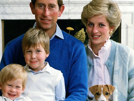 Prince William 'adored' his baby brother Harry, Diana's letters reveal