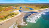 Researchers develop membrane that can harvest clean energy from estuaries — here's how it works