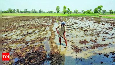Why small farmers remain anxious about the monsoon | India News - Times of India