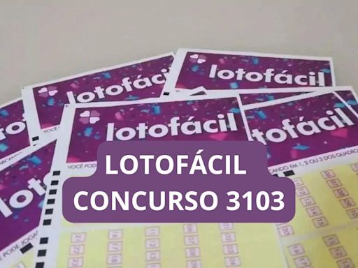 Resultado da Lotofácil 3103 de terça-feira e ganhadores (14/05) | DCI