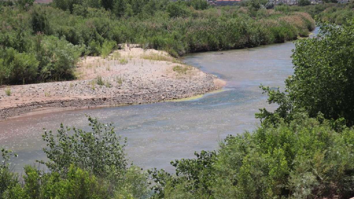 Toxic algal blooms persist in Virgin River. Experts urge checking the water before swimming