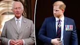 King Charles worries what Prince Harry will do once ‘all the money runs out’: book