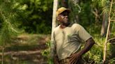A Black farmer in South Carolina cultivates culture, history — and rice