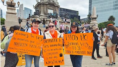 “Seamos la voz de aquellos que no pueden hablar”: Activistas exigen se castigue la tortura animal; piden se erradique la corrida de toros | El Universal