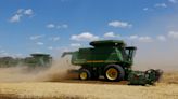 Los problemas meteorológicos y Rusia alteran las perspectivas de los proveedores de trigo