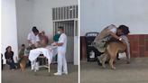 Perro se quedó por fuera del Hospital San José de Popayán esperando a su dueño, un ciudadano en condición de calle que había entrado de emergencia