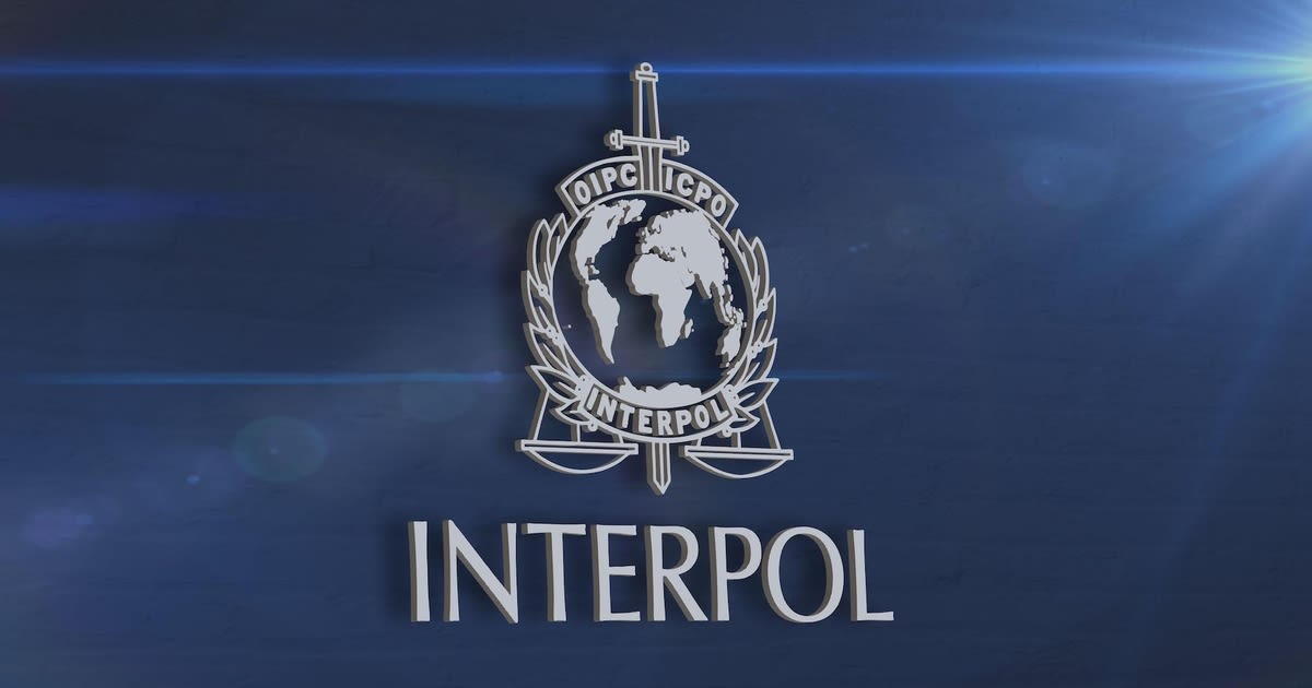 6 Facts About How INTERPOL Fights Cybercrime