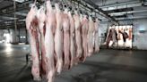 China lança investigação antidumping sobre importações de carne suína da UE