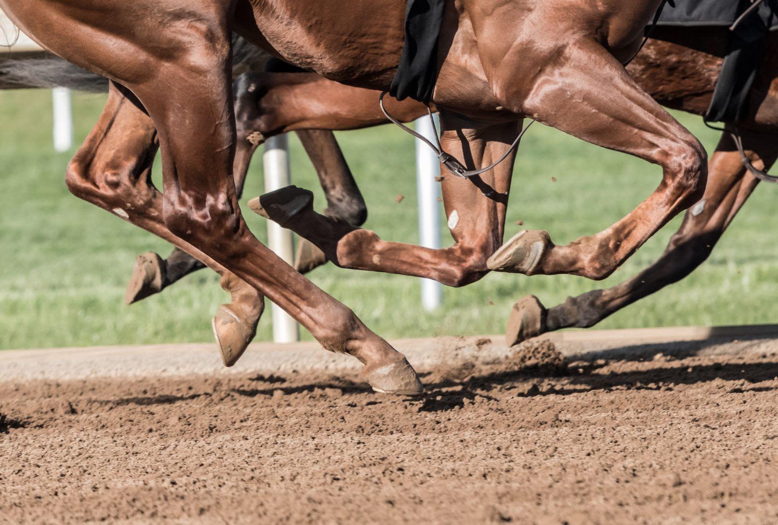 150th Kentucky Derby: Final Results, Standings, & Payouts