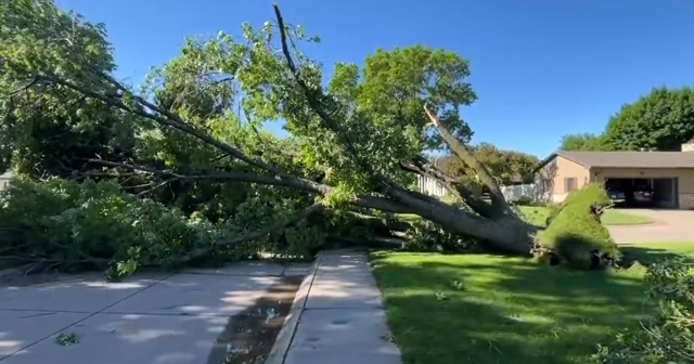 VIDEO: Overnight storm in Grand Island damages trees, more