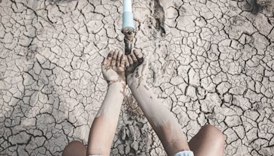 Día Mundial del Medioambiente: 40 por ciento de las tierras del planeta están dañadas