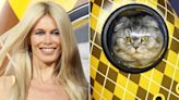 Claudia Schiffer's Cat Steals the Show at “Argylle” Premiere — See the Photos!