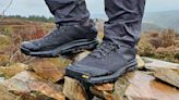 Danner Trail 2650 Mesh GTX review (100 miles later): reliable on-trail traction