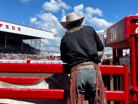 The cowboys in the chutes and a new golden age for Alberta saddle bronc | CBC News