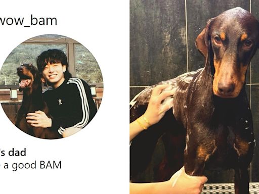 BTS柾國開通帥氣愛犬Bam的IG！一臉幸福的燦笑，驕傲炫耀：「我是Bam的爸爸～」