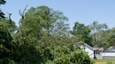 Small Illinois village was first to get hit by F2 tornado