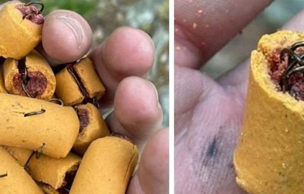 Fish hooks found in dog treats on Appalachian Trail in Lehigh County, Pennsylvania