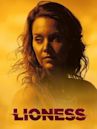 Lioness