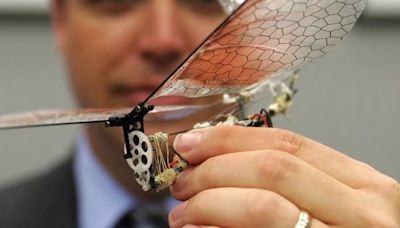 Crean drones autónomos cuyo diseño se inspira en insectos que tienen comportamientos sociales