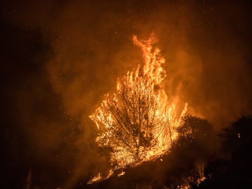 California's Line Fire grows to 26,000 acres, more evacuations underway: See wildfire map