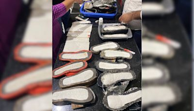 Cocaine Worth Rs 21 Crore Found In Woman's Bags, Footwear At Chennai Airport