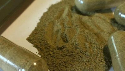 Haney introduces proposal to regulate herbal product kratom amid safety concerns