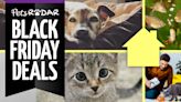 The big retailers are unveiling their early Black Friday pet deals, and these are our favorites so far