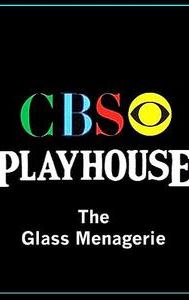 The Glass Menagerie (1966 film)