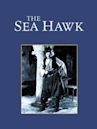 The Sea Hawk (1924 film)