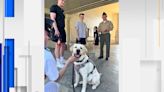 Chaplain’s Office at Virginia Military Institute welcomes new service dog