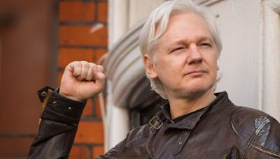 Dramatic release of Julian Assange was ‘touch and go’, says wife