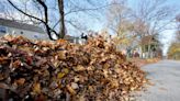 When will my leaves get collected? Your complete 2023 Greater Canton leaf collection guide