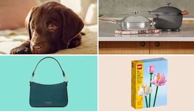 10 best weekend sales: Save at HexClad, Target, Kate Spade, QVC