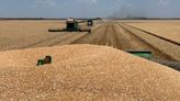 Ag productivity growth sluggish since 2000: ABARES - Grain Central