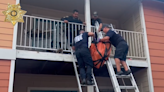 Rescuers feared the worst rushing to save dog stranded on Texas balcony. Then it moved