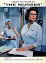 The Nurses (TV series)