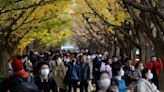 Tokyo's threatened Jingu Gaien park placed on 'Heritage Alert' list by conservancy body