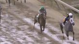 Seize The Grey carries the day at the 2024 Preakness