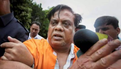 Underworld don Chhota Rajan awarded life sentence over Mumbai businessman's murder