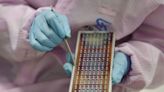 Microchips: Billions in subsidies — with strings attached