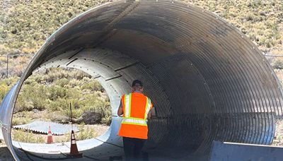 Caltrans Announces Detour Closure of U.S. 395 Near Sonora Junction Shoulders Project for Installation of Under-Highway Wildlife Crossings