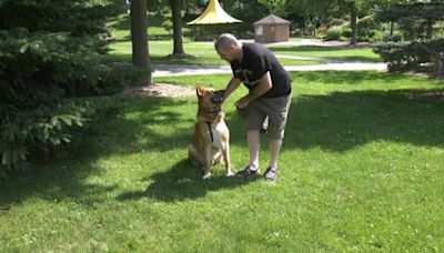 Canine companion alerts its owner to a fast-spreading fire