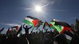 Experts question arrests for waving flags of ‘friendly’ country Palestine