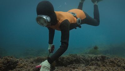 ‘The Last of the Sea Women’ Review: A Deep Dive Into an Underwater Korean Tradition