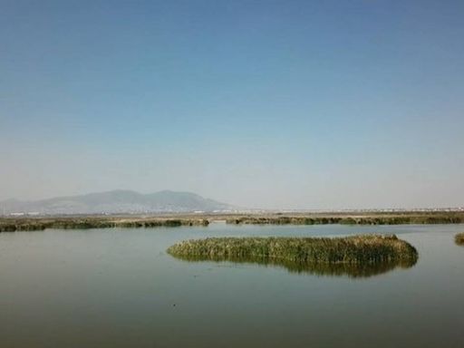Recuperar y proteger el lago de Texcoco en el Edomex, es prioridad del gobierno federal
