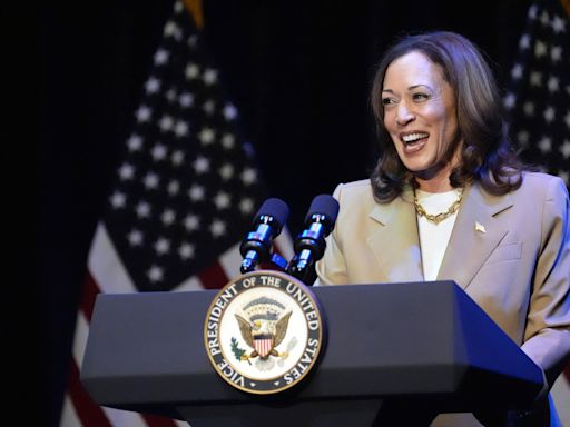 Republican reveals which Kamala Harris VP pick would scare GOP