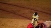 Spain scraps national bullfighting prize sparking debate